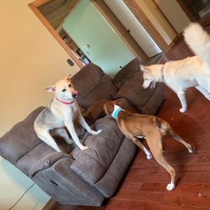 Meet your Posher, Kristen